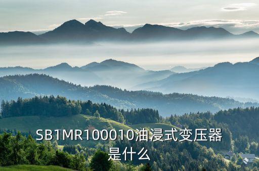 油浸式變壓器什么是酚推，SB1MR100010油浸式變壓器是什么