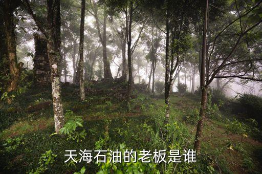 天海收購英邁什么時(shí)間，信用卡能不能申請延遲2天?？?/></a></span><span id=