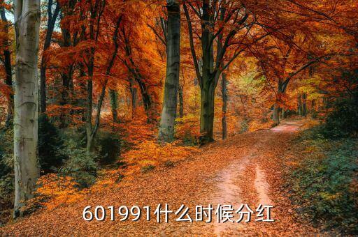 西泵股份什么時候分紅，西泵公司何時上市