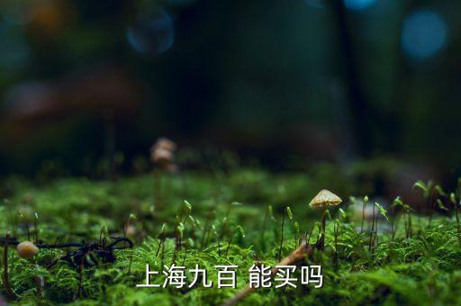 上海九百是做什么的，上海九百怎么樣