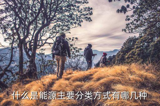 能源開發(fā)保險的種類包括什么，電力行業(yè)目前有哪些專門的保險產(chǎn)品