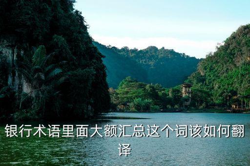 大額匯兌是什么意思，銀行術(shù)語里面大額匯總這個(gè)詞該如何翻譯