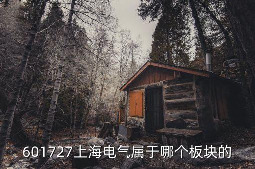 上海電氣什么行業(yè)，上海置信電氣股份有限公司是屬于什么行業(yè)