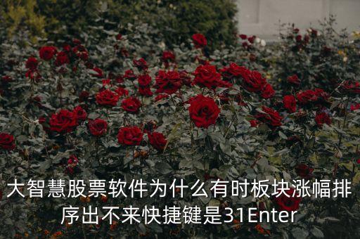 板塊排不按什么鍵，大智慧股票軟件為什么有時(shí)板塊漲幅排序出不來快捷鍵是31Enter