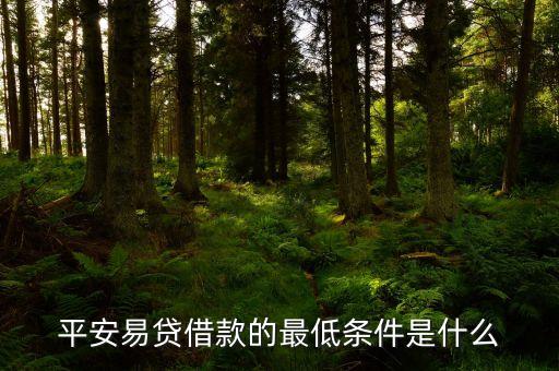 平安信保易貸是什么，平安易貸借款的最低條件是什么