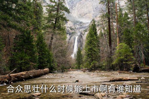 合眾思壯什么時候復牌，合眾思壯什么時候能上市啊有誰知道
