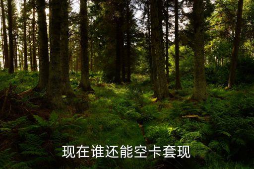 什么地方可以空卡套現(xiàn)，誰知道煙臺地區(qū)有辦理空卡套現(xiàn)的么