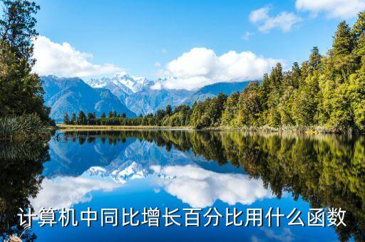 計算機中同比增長百分比用什么函數
