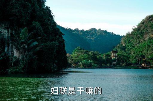 婦聯(lián)執(zhí)委是什么，婦聯(lián)會是什么
