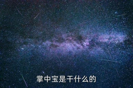 保險掌中寶是什么，掌中寶是干什么的