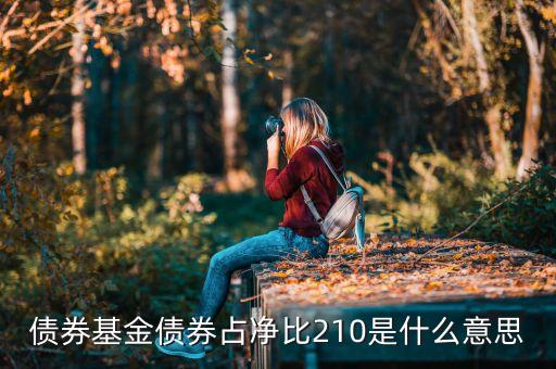 基金中的占凈比什么意思，債券基金債券占凈比210是什么意思