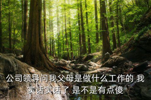 公司問(wèn)父母是做什么的，公司領(lǐng)導(dǎo)問(wèn)我父母是做什么工作的 我實(shí)話實(shí)話了 是不是有點(diǎn)傻