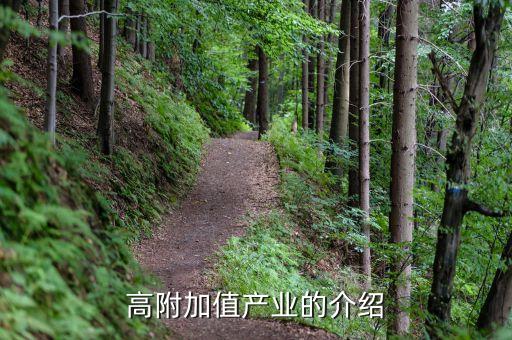 什么是高附加值產(chǎn)業(yè)，高附加值產(chǎn)業(yè)的介紹