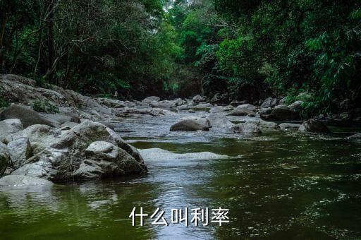 什么叫做利率，什么叫做利率