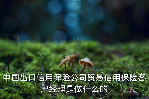 中信?？蛻艚?jīng)理干什么，中國出口信用保險公司貿(mào)易信用保險客戶經(jīng)理是做什么的