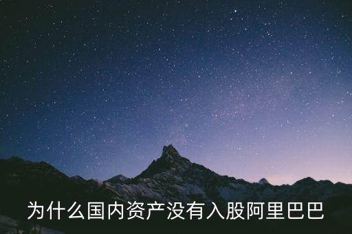 什么國家沒有阿里，為什么國內(nèi)資產(chǎn)沒有入股阿里巴巴