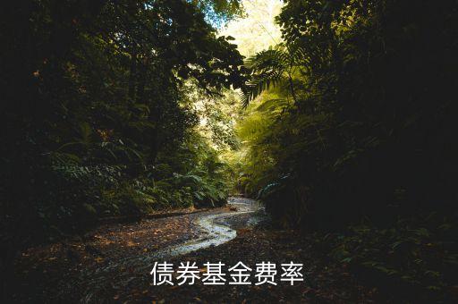 債券基金費率什么意思，債券基金費率