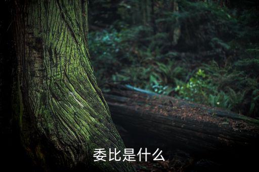 什么是委比指標(biāo)，股票里面的委比是什么意思