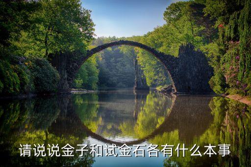 請(qǐng)說(shuō)說(shuō)金子和試金石各有什么本事，請(qǐng)說(shuō)說(shuō)金子和試金石各有什么本事