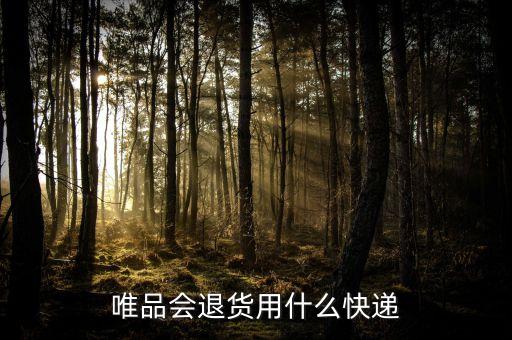 在唯品會說的退貨包裹是什么，唯品會退貨的送貨單快遞是啥啊
