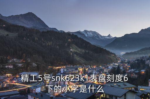 精工表中小表什么，精工手表4個小表盤是干甚么的