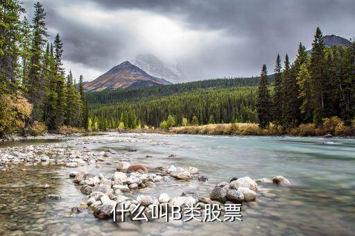 分級(jí)股b什么意思，分級(jí)基金b和b股一樣嗎