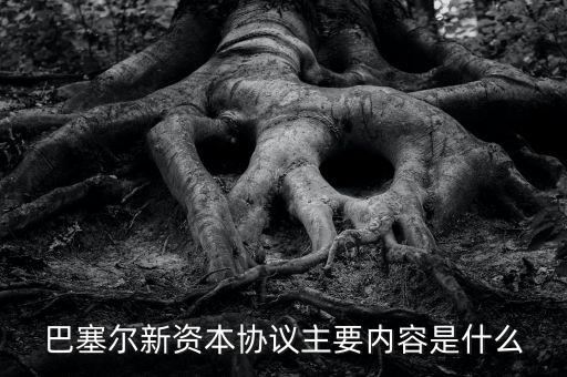 新資本協(xié)議是什么，新巴塞爾資本協(xié)議的介紹