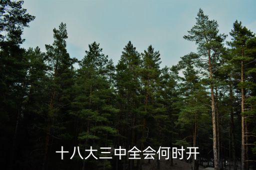 十八屆三中全會(huì)什么時(shí)候開，十八大三中全會(huì)何時(shí)開