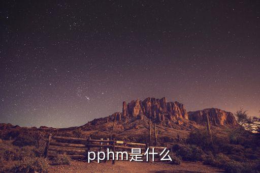 安迅思是什么，biche是什么意思