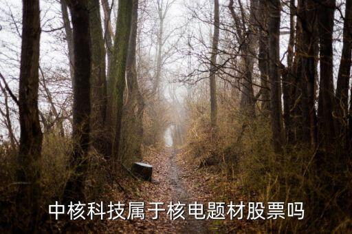 中核科技是什么板塊，中核科技屬于核電題材股票嗎