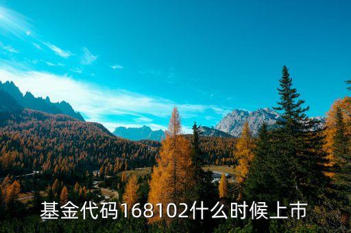 168101基金什么時候上市，基金代碼168102什么時候上巿