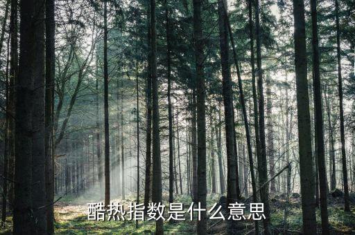 熱度指數(shù)是什么，Heat index 加熱指數(shù)是什么意思