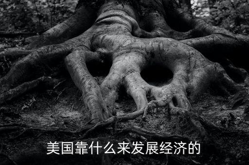 美國(guó)經(jīng)濟(jì)靠什么，美國(guó)靠什么來(lái)發(fā)展經(jīng)濟(jì)的