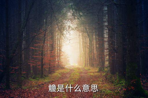 借給側(cè)是什么意思，更衣是什么意思