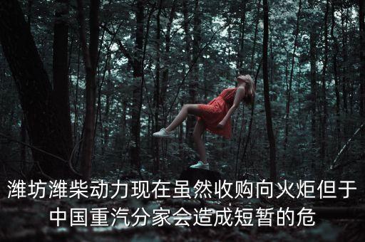 重汽為什么沒有濰柴了，中國重汽還有濰柴發(fā)動機(jī)嗎