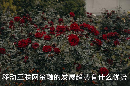 移動金融技術(shù)創(chuàng)新應(yīng)以什么為底線，移動互聯(lián)網(wǎng)金融的發(fā)展趨勢有什么優(yōu)勢