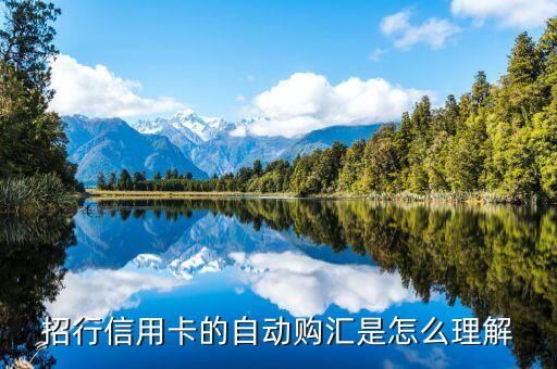 自動(dòng)購(gòu)匯轉(zhuǎn)出什么意思，什么是中國(guó)銀行信用卡的外幣自動(dòng)購(gòu)匯