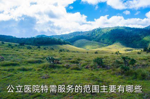 特需服務(wù)服務(wù)給醫(yī)院帶來了什么，公立醫(yī)院特需服務(wù)的范圍主要有哪些