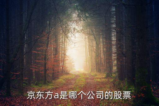 京東方a是什么企業(yè)，京東方A董事長是誰是什么企業(yè)