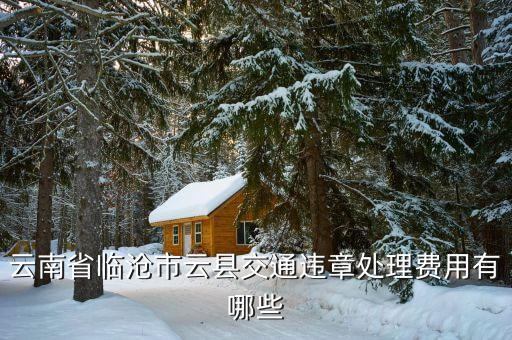 臨滄市車補正策是什么，臨滄市12315消費者協(xié)會如果汽車修理費過高可以投訴嗎