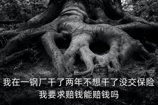 我在一鋼廠(chǎng)干了兩年不想干了沒(méi)交保險(xiǎn)我要求賠錢(qián)能賠錢(qián)嗎