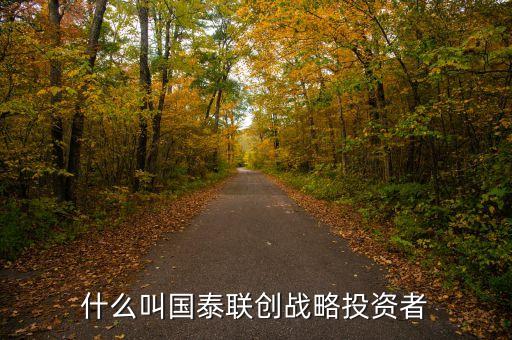 國航為什么選擇國泰作戰(zhàn)略投資者，什么叫國泰聯(lián)創(chuàng)戰(zhàn)略投資者