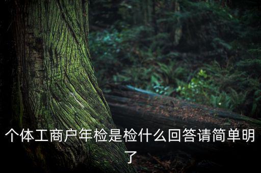 上海個體戶工商所年報是什么，個體營業(yè)執(zhí)照需作年度報告