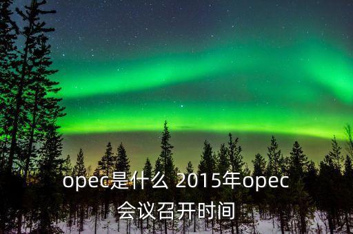 什么是opec會議，OPEC石油會議是什么時候召開啊石油價格會受影響嗎