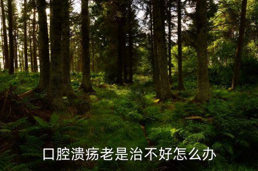 云南咖啡豆在什么時(shí)候采摘，云南小?？Х仍趺闯砸髥?/></a></span><span id=