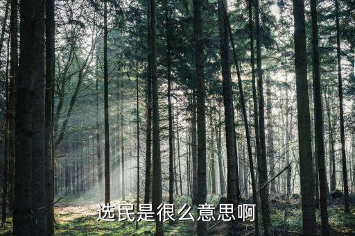 經(jīng)濟選民是什么，什么是海金選民