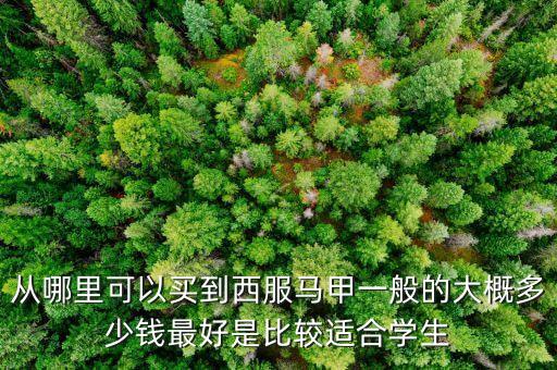 什么牌子賣西裝馬甲，什么牌子的西裝馬甲好