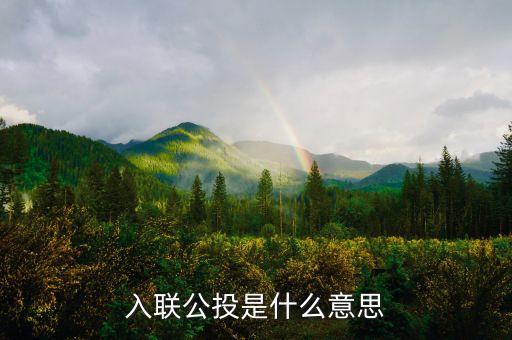 返聯(lián)公投是什么意思是什么意思，公投是什么意思