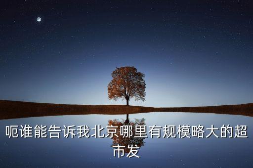 北京超市發(fā)有什么部門(mén)，呃誰(shuí)能告訴我北京哪里有規(guī)模略大的超市發(fā)