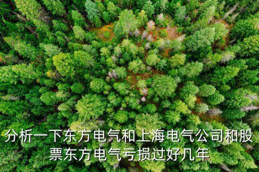東方電氣為什么不漲，東方電氣這么好的公司為什么總是漲不上去漲不過別人呢